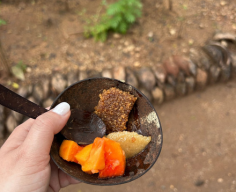 Reduction of Single-Use Plastics