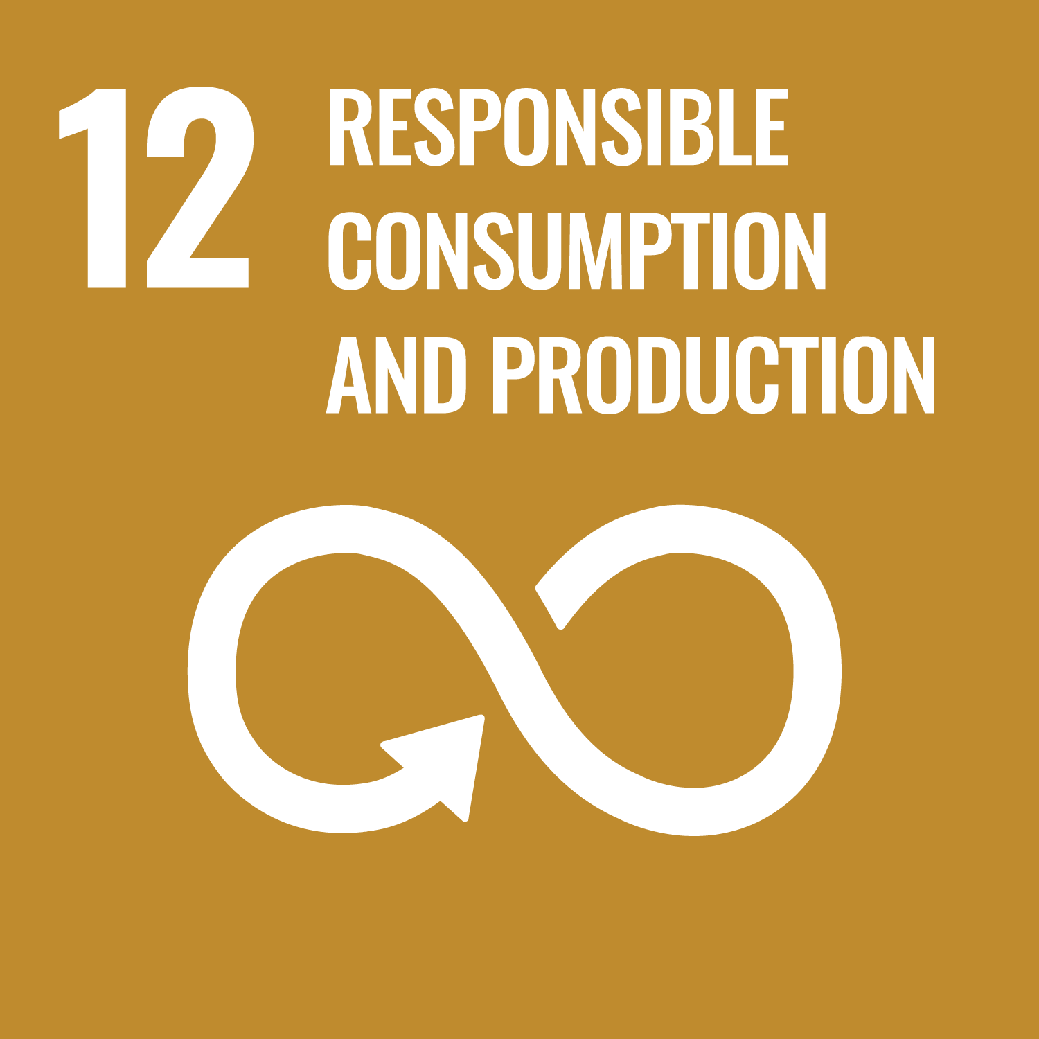 SDG 12 – Consumo e produzione responsabili