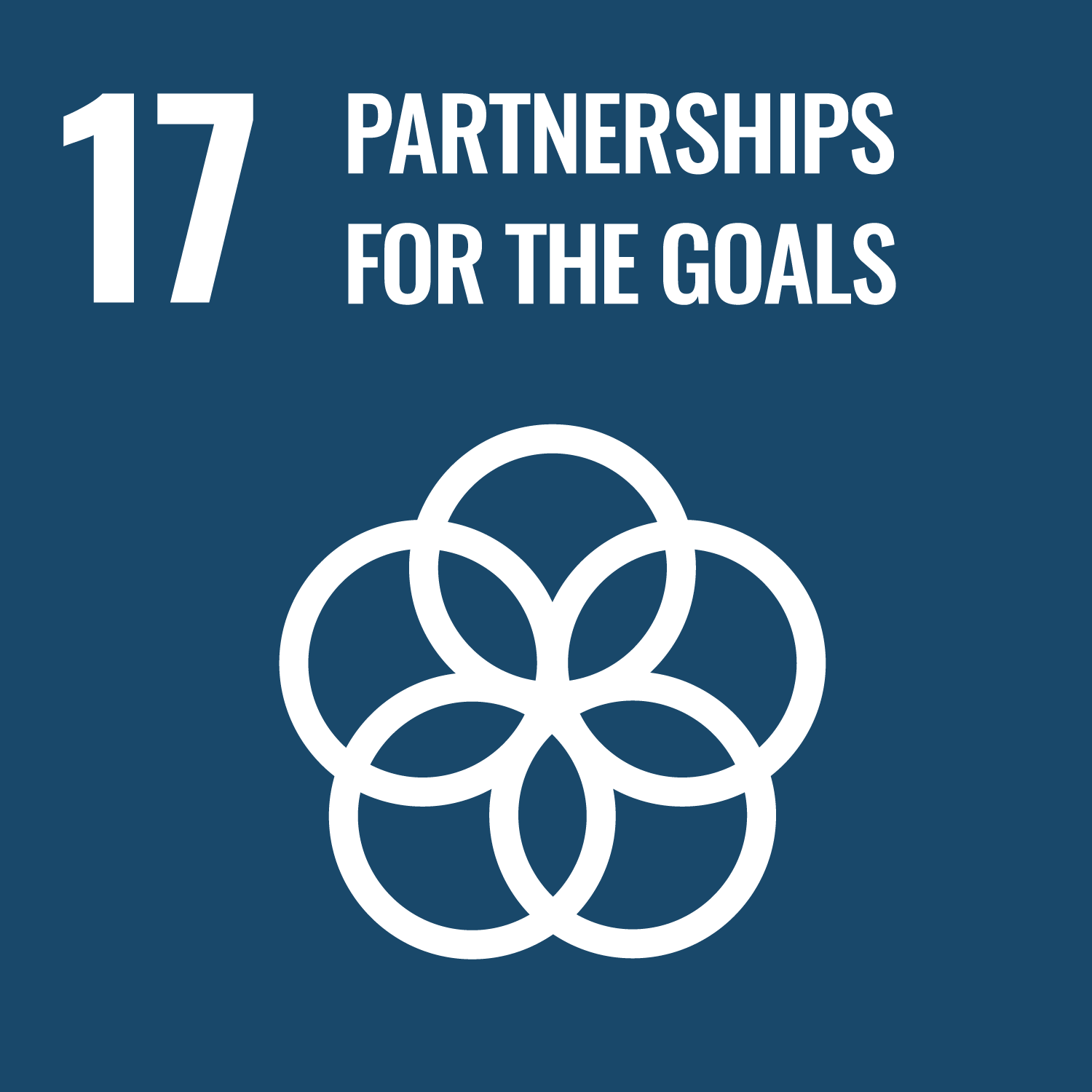 SDG 17 – Partnership per gli obiettivi