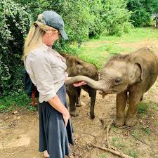 Elephant Transit Home