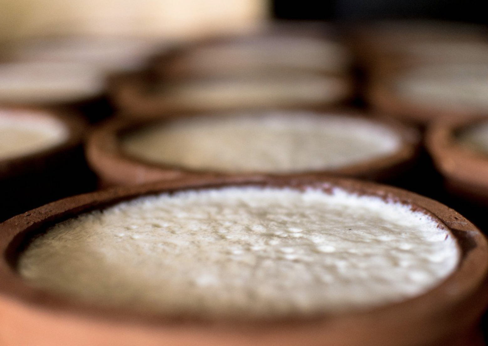 Curd Making Experience &ndash; Udawalawe